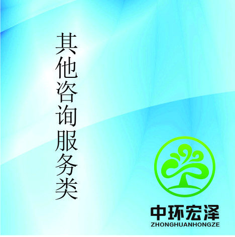 其他咨询服务项目